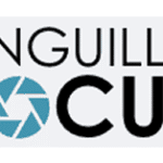 anguillafocus